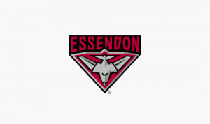 Logo of Essendon FC